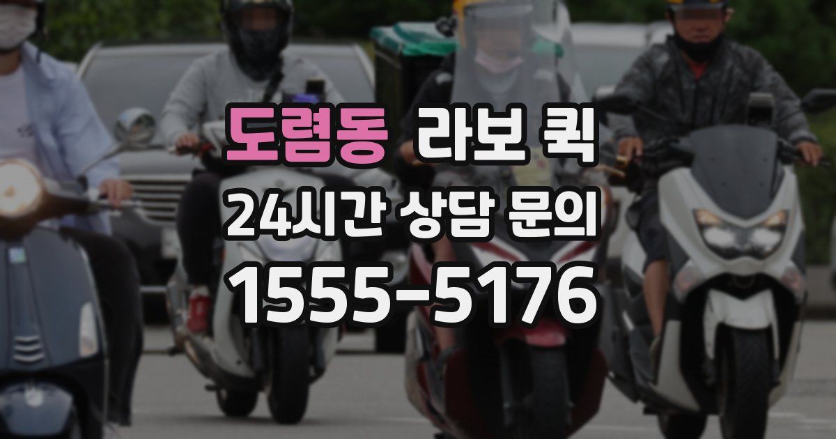 도렴동 라보 퀵