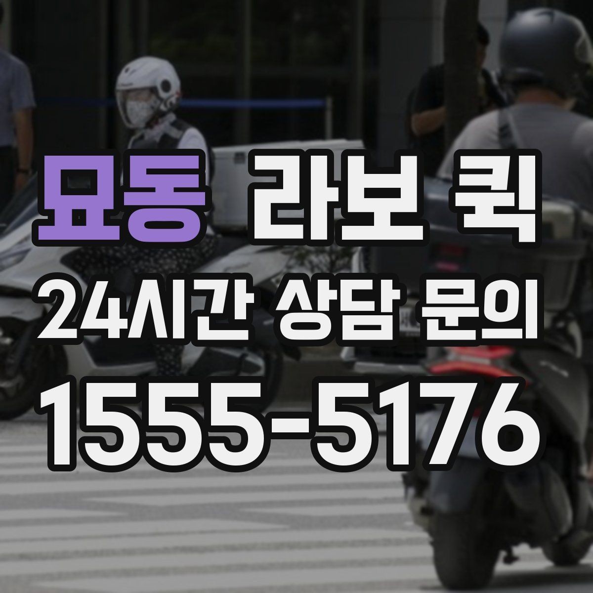 묘동 라보 퀵 구성과 옵션을 비교하는 방법