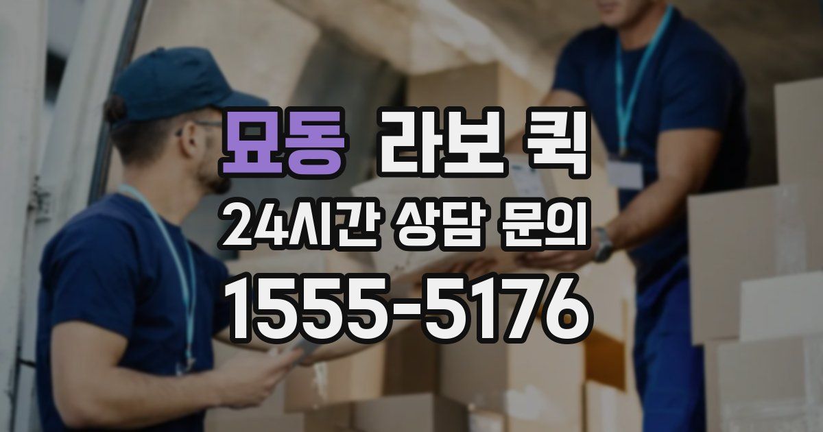 묘동 라보 퀵