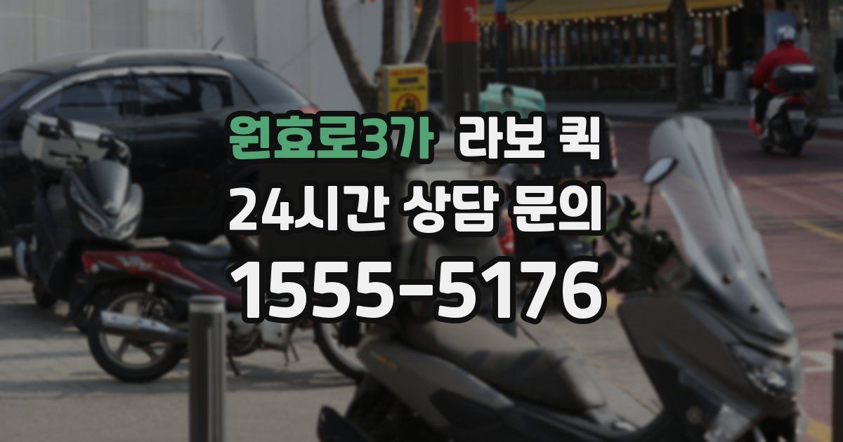 원효로3가 라보 퀵