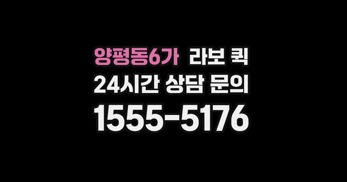 양평동6가 라보 퀵