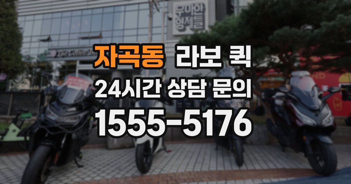 자곡동 라보 퀵