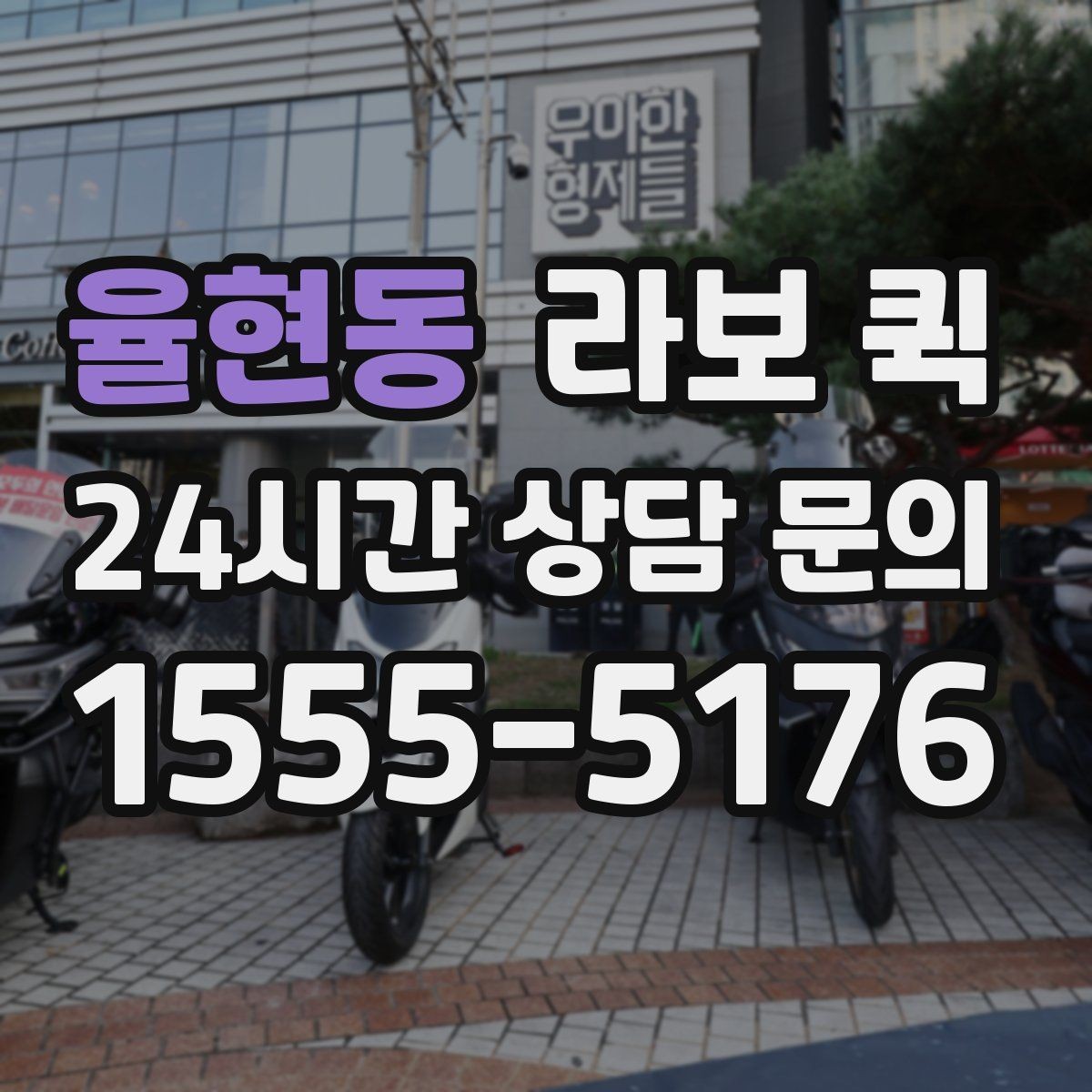 율현동 라보 퀵 기능을 고를 때 고려할 점