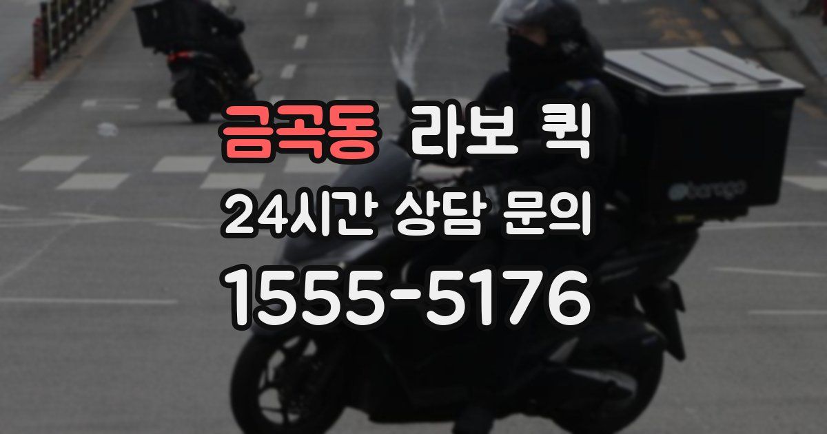 금곡동 라보 퀵