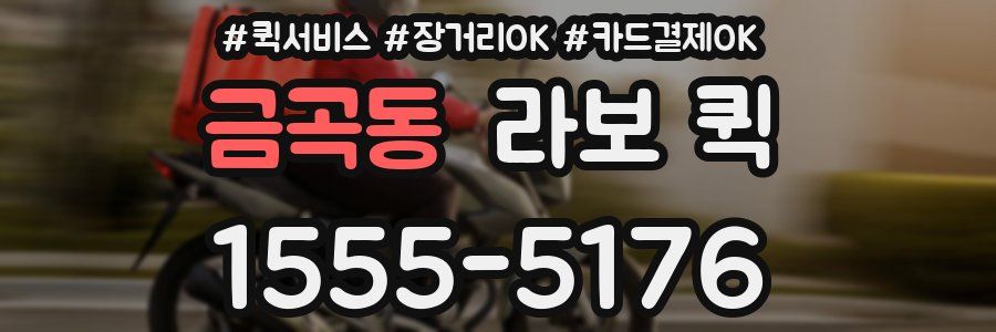 금곡동 라보 퀵
