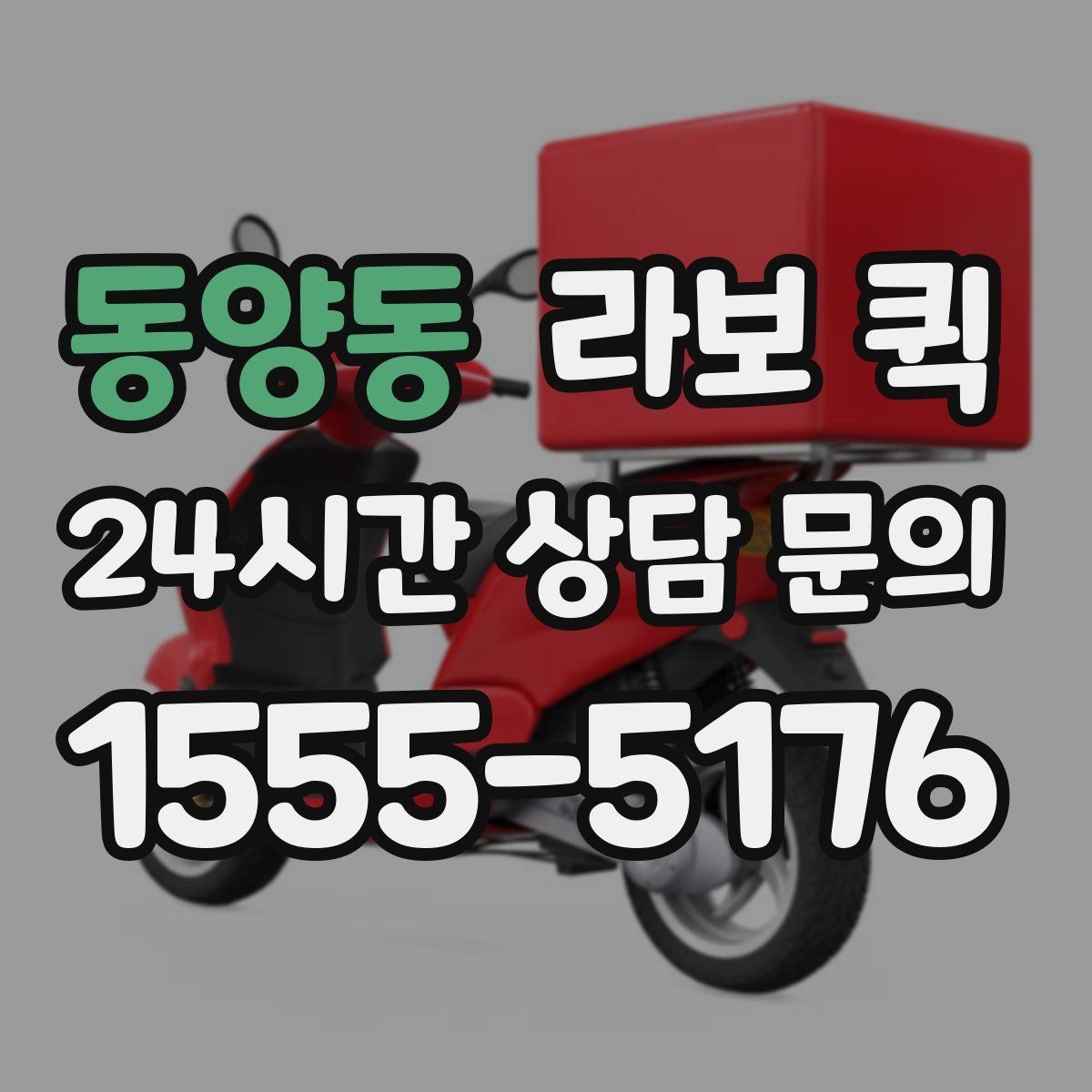 동양동 라보 퀵 서비스 내용 비교 포인트