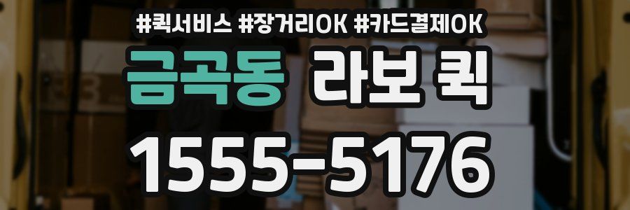금곡동 라보 퀵
