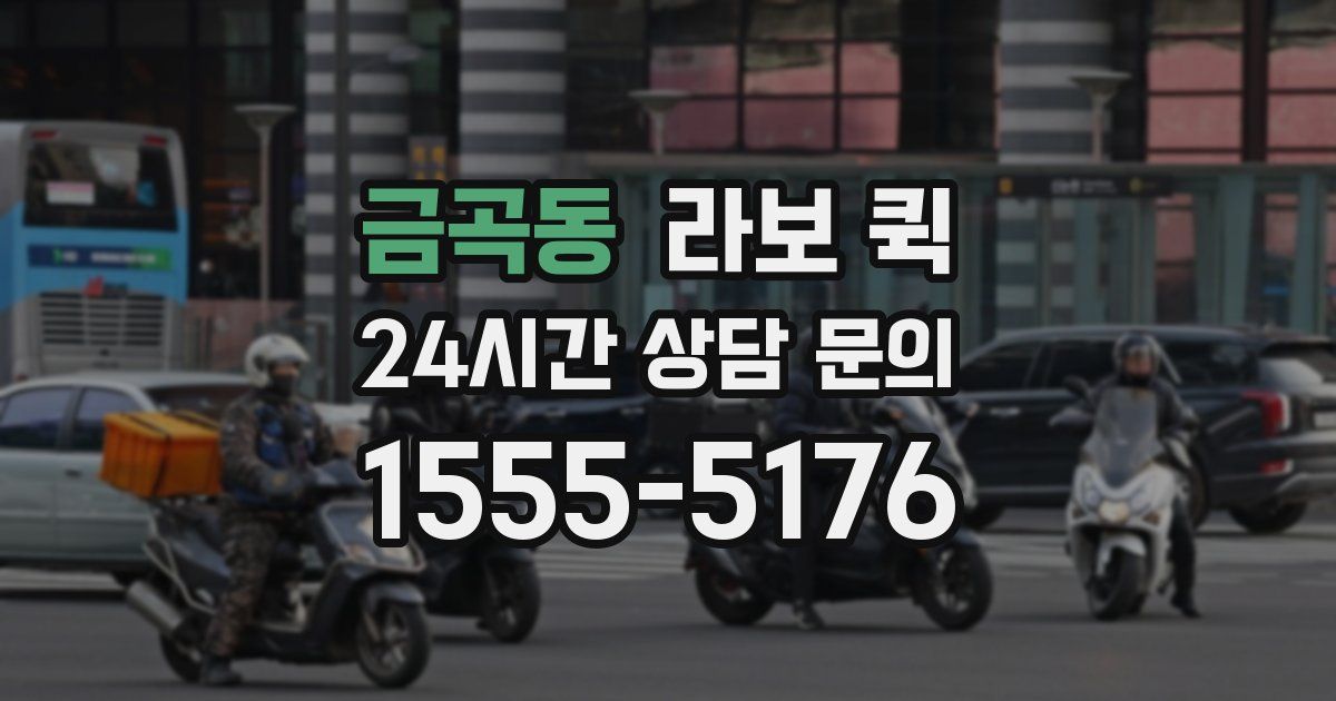 금곡동 라보 퀵