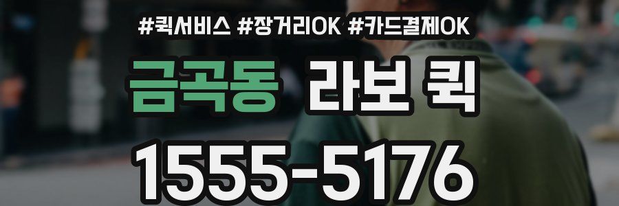 금곡동 라보 퀵