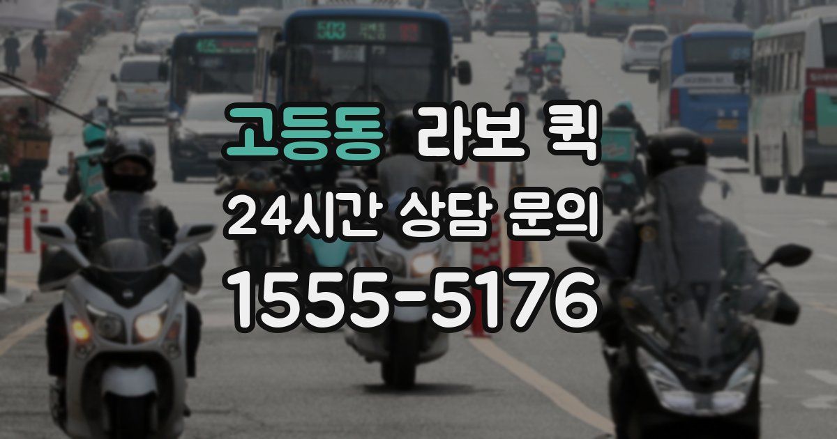 고등동 라보 퀵