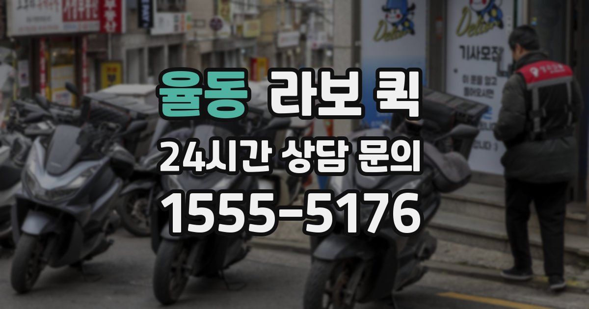 율동 라보 퀵