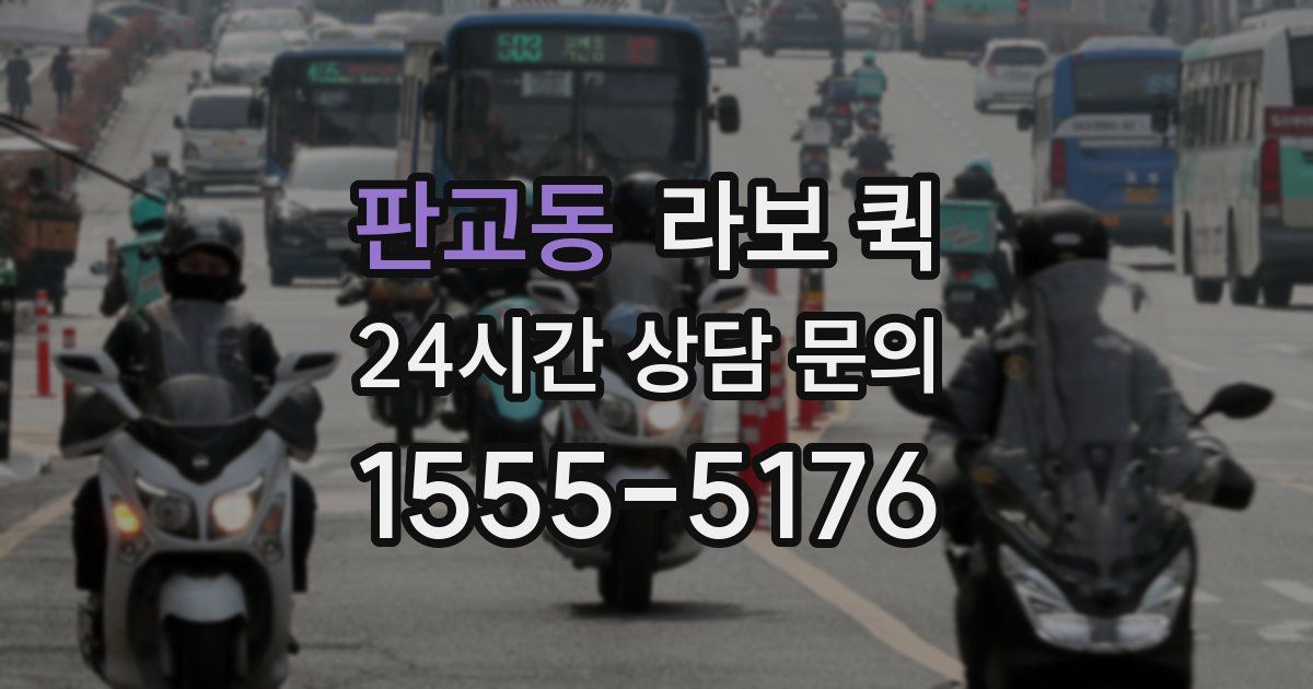 판교동 라보 퀵