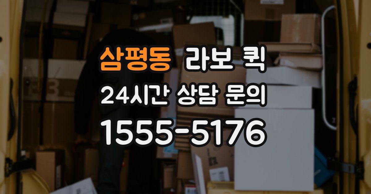 삼평동 라보 퀵