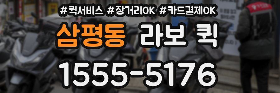 삼평동 라보 퀵