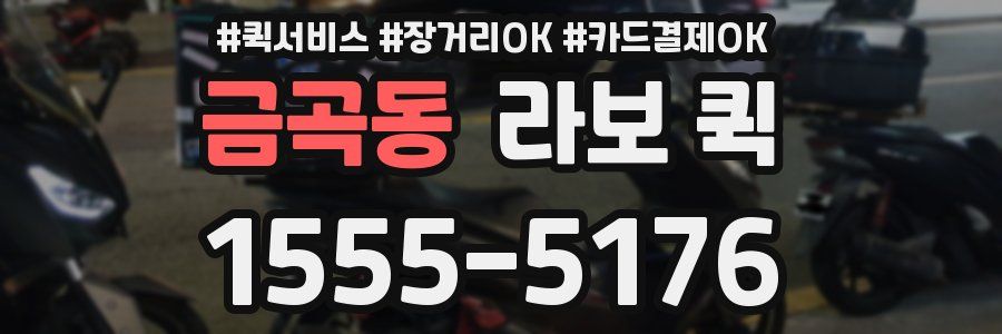 금곡동 라보 퀵