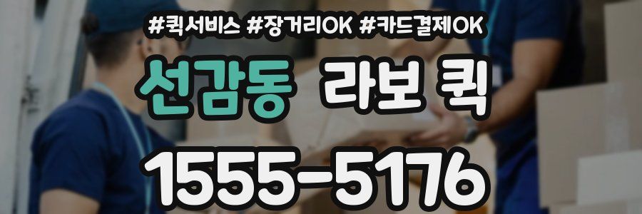 선감동 라보 퀵