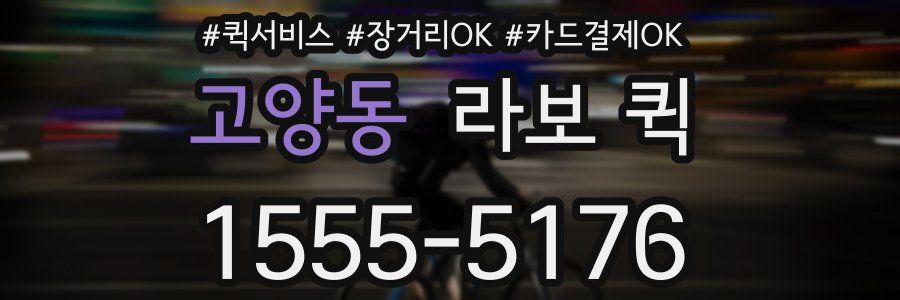 고양동 라보 퀵