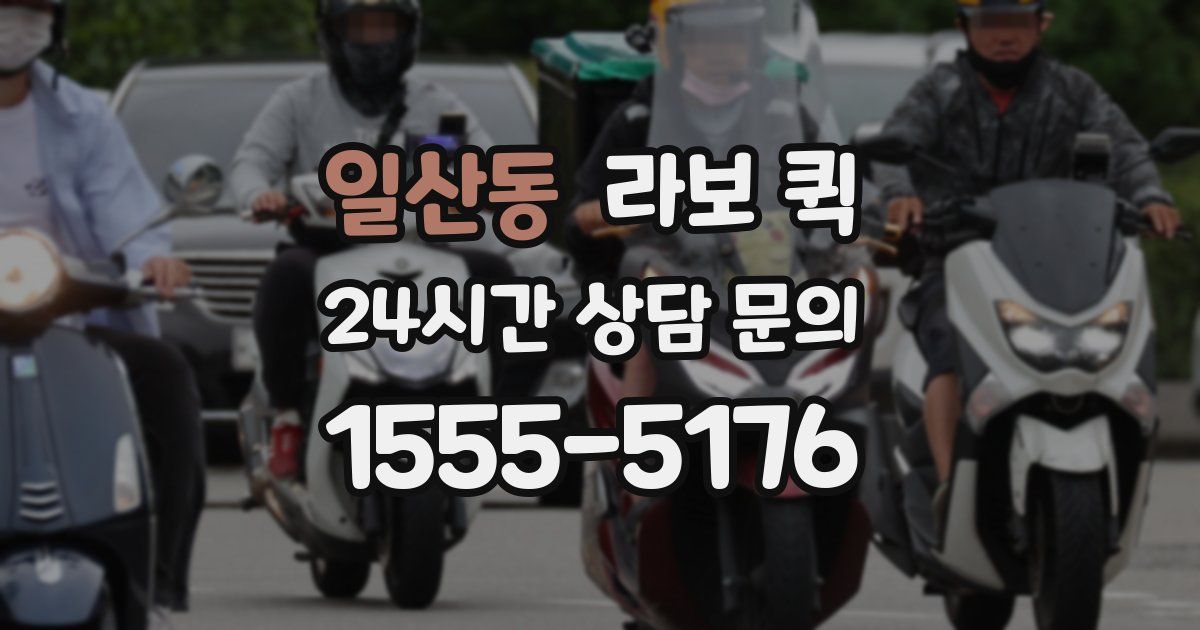 일산동 라보 퀵