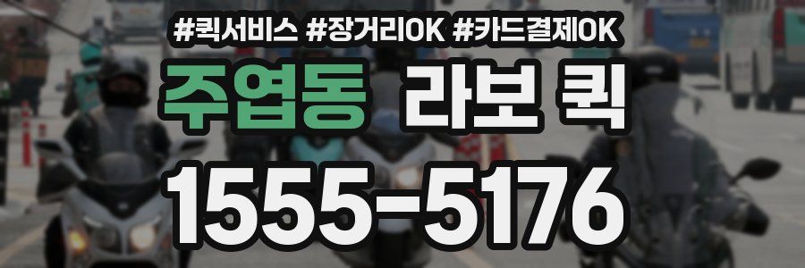 주엽동 라보 퀵