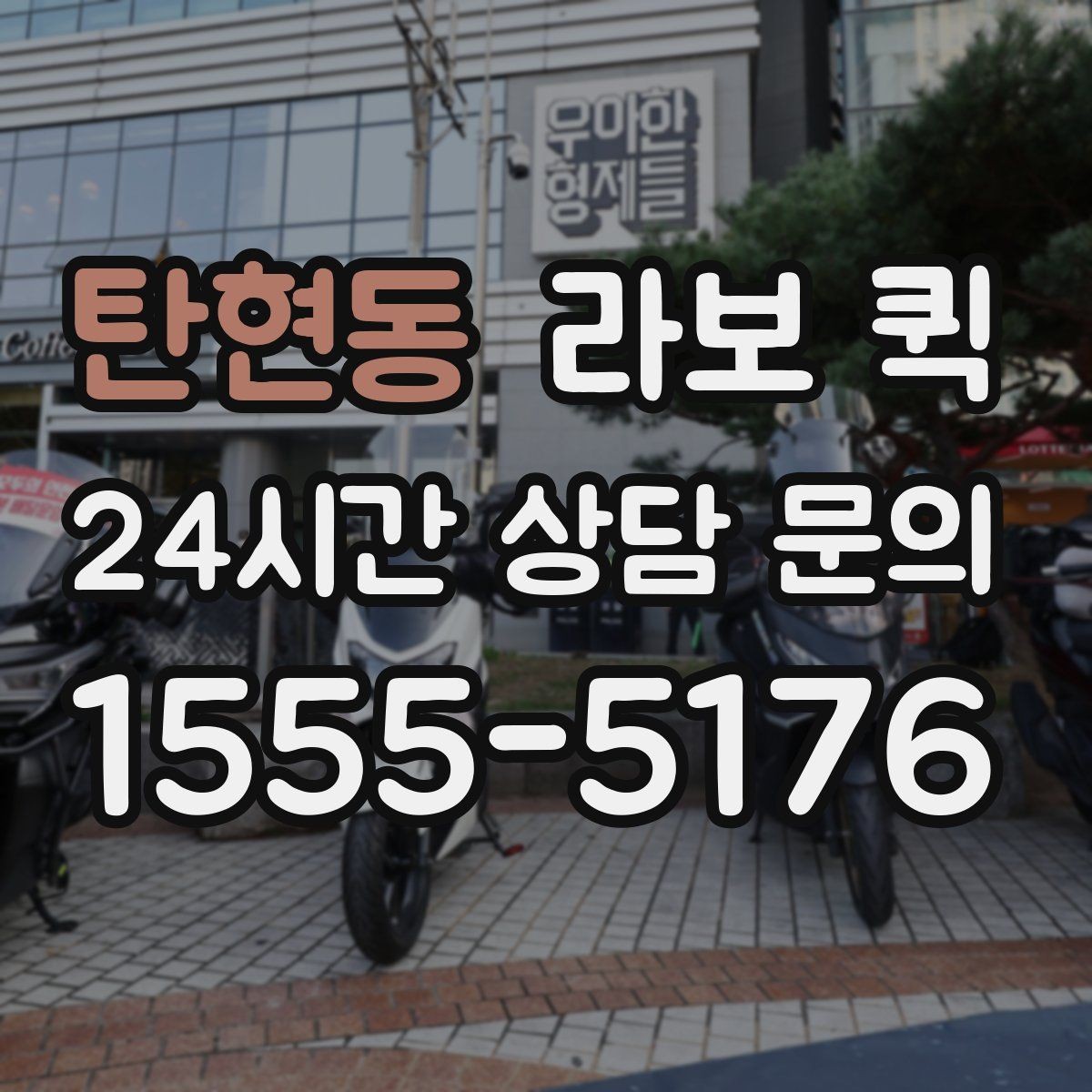 탄현동 라보 퀵 배차가 늦어질 때 대처 방법
