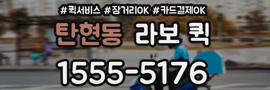 탄현동 라보 퀵