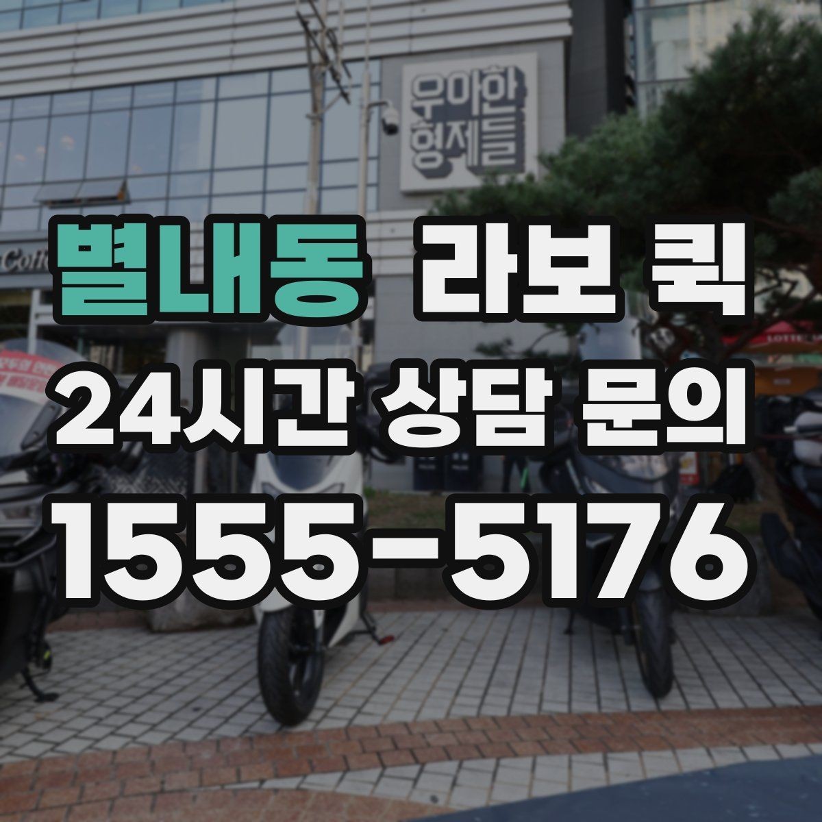 별내동 라보 퀵 선택이 어려울 때 보는 기준