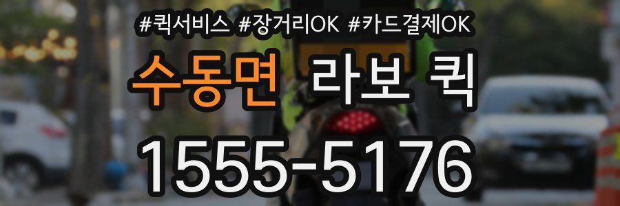수동면 라보 퀵