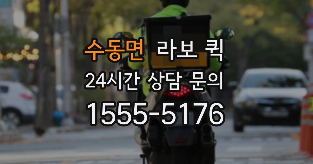 수동면 라보 퀵