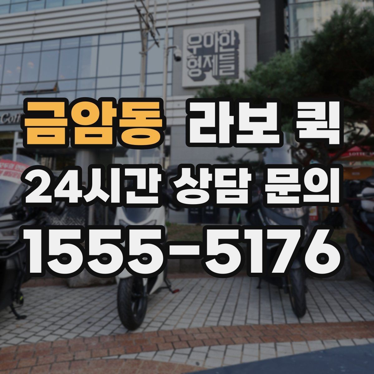 금암동 라보 퀵 기본 구조와 특징 살펴보기