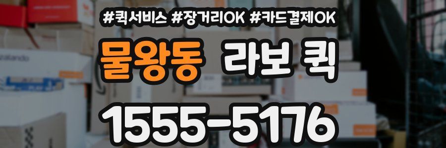 물왕동 라보 퀵