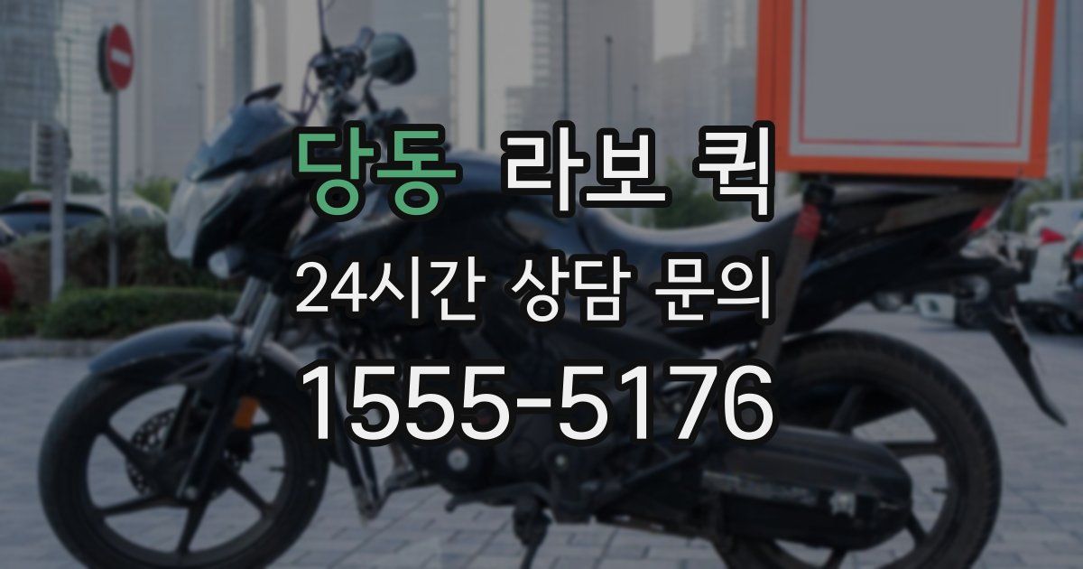 당동 라보 퀵