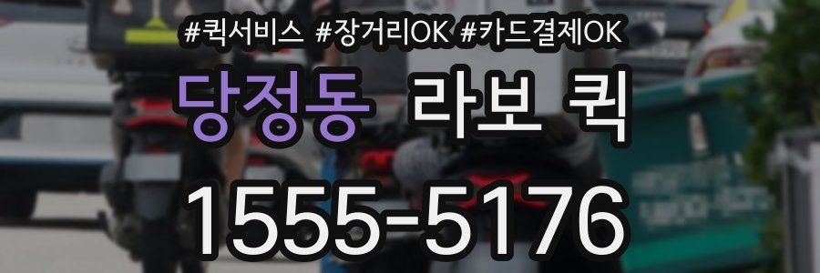 당정동 라보 퀵