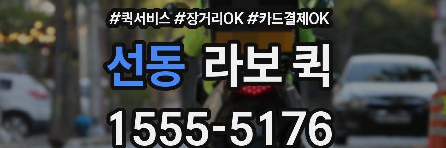 선동 라보 퀵