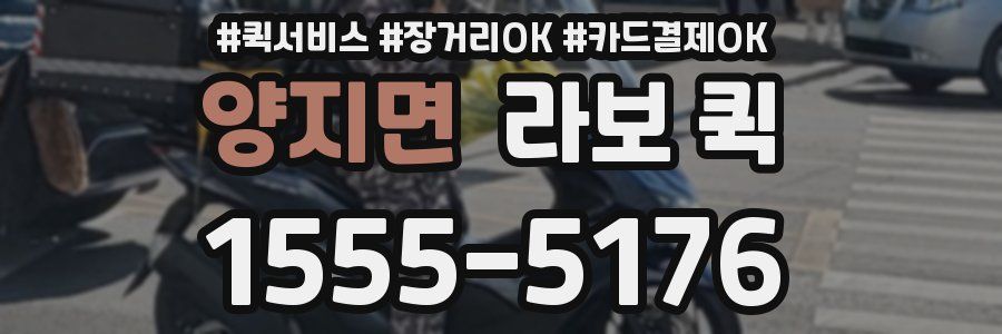 양지면 라보 퀵