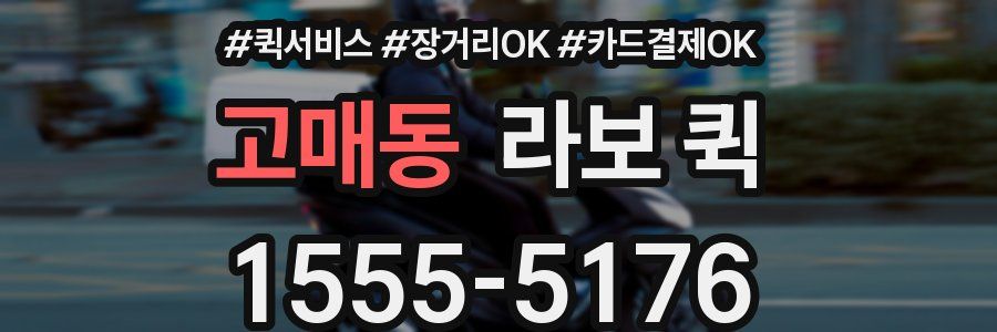고매동 라보 퀵