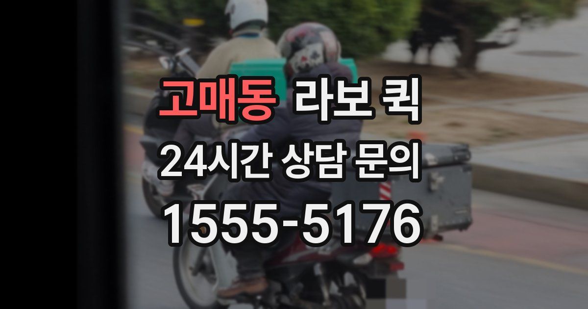 고매동 라보 퀵