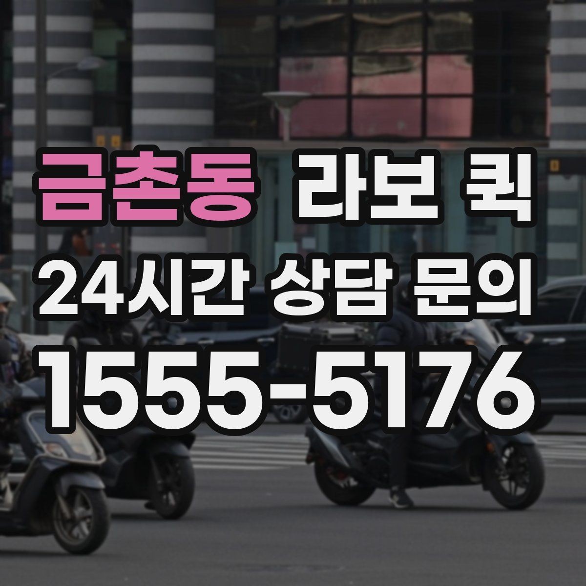 금촌동 라보 퀵 구성품과 제공 범위 정리