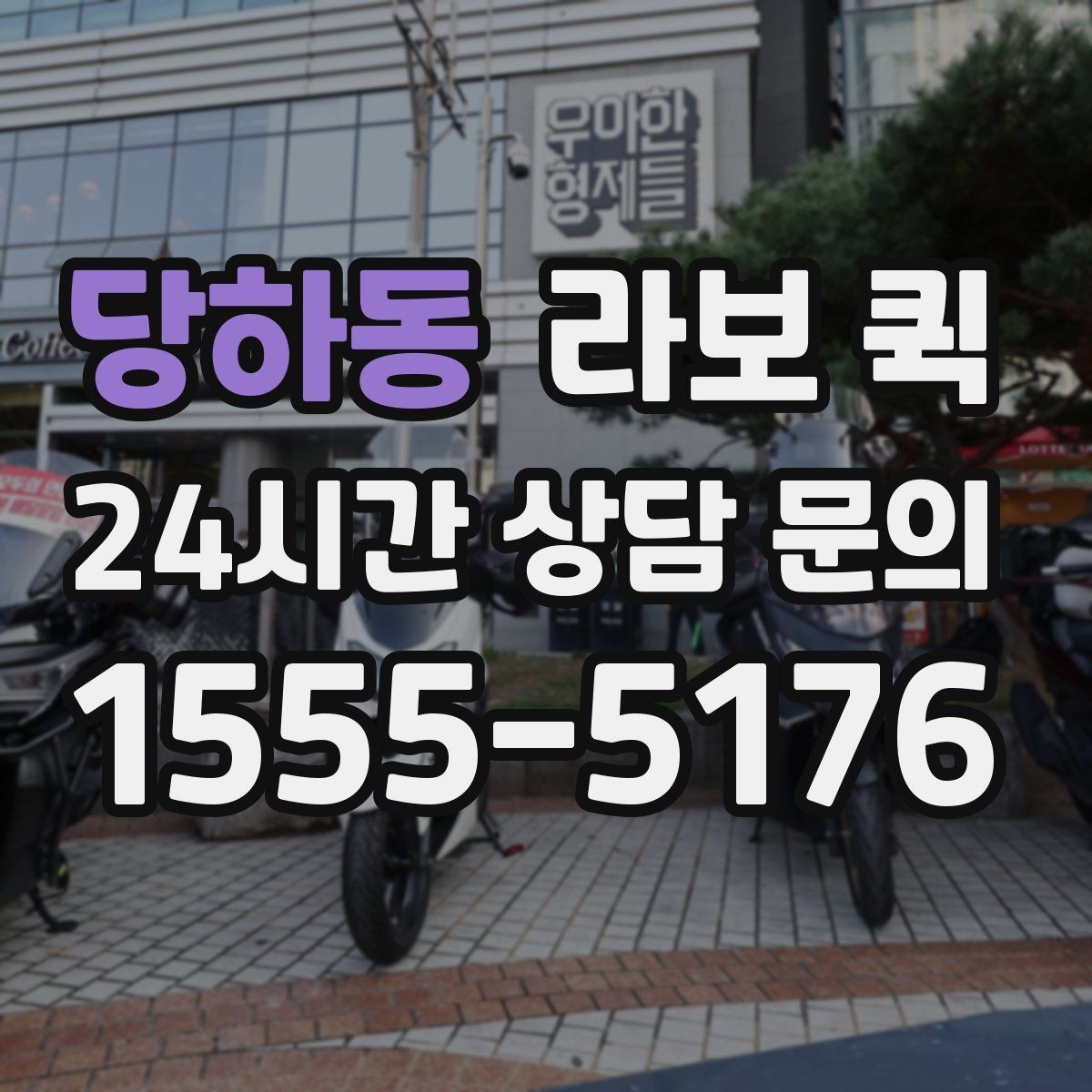 당하동 라보 퀵 도입 검토 시 도움이 되는 내용
