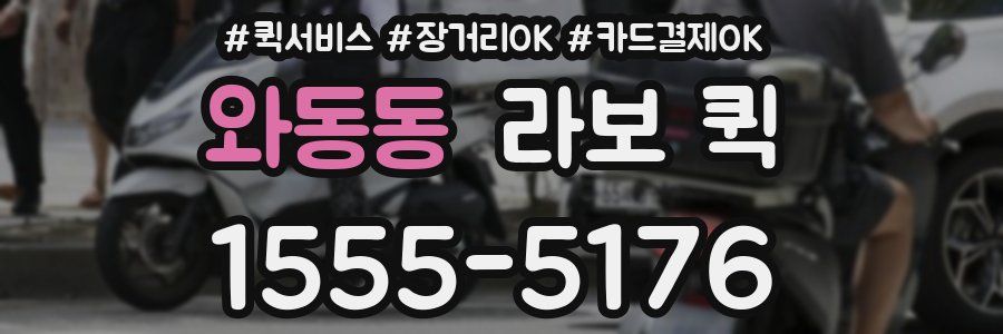 와동동 라보 퀵