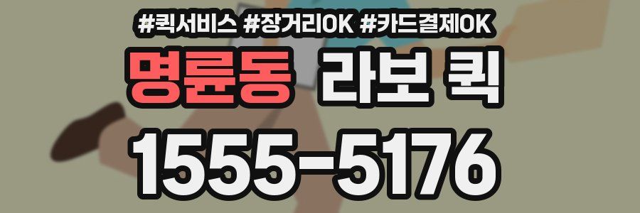 명륜동 라보 퀵