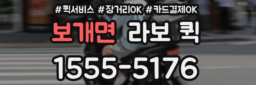 보개면 라보 퀵