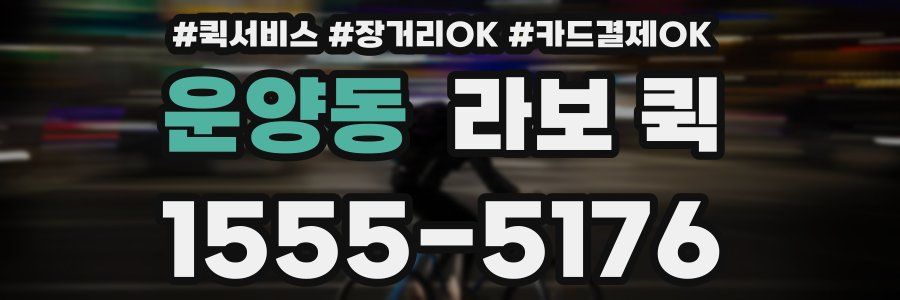 운양동 라보 퀵