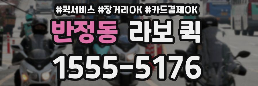 반정동 라보 퀵
