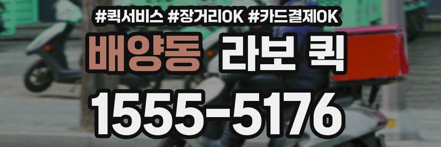 배양동 라보 퀵