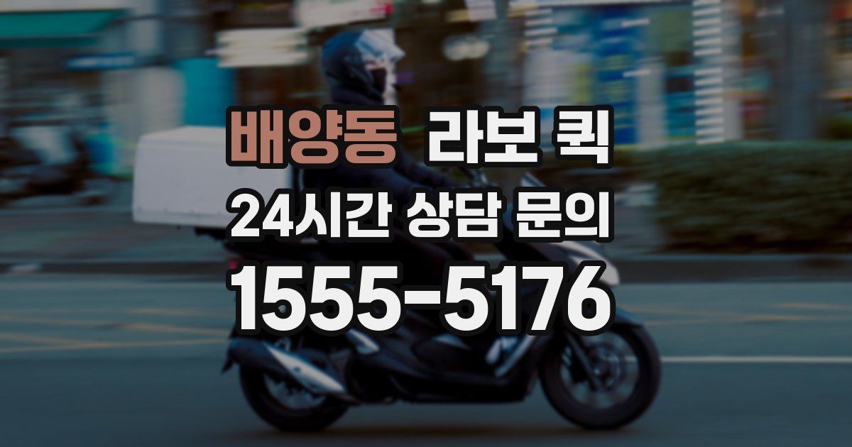 배양동 라보 퀵