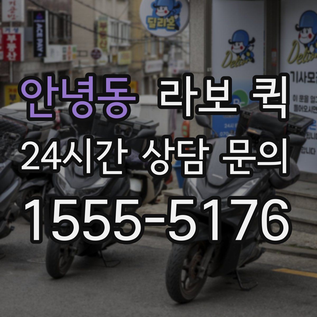 안녕동 라보 퀵 옵션별 차이와 선택 기준