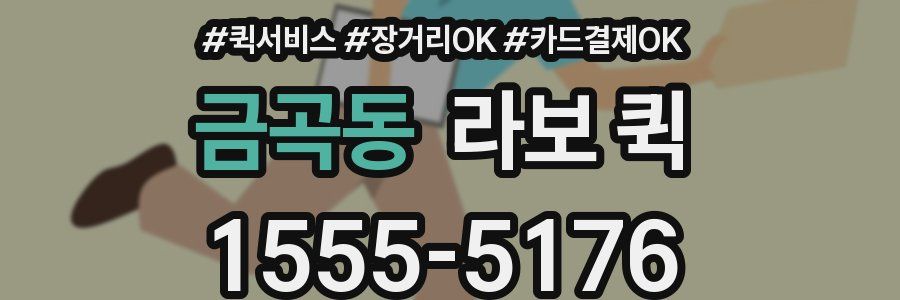 금곡동 라보 퀵
