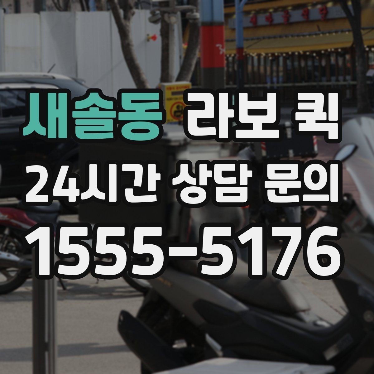 새솔동 라보 퀵 사용자 입장에서 본 핵심 포인트