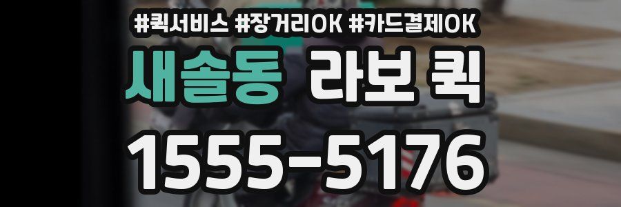 새솔동 라보 퀵