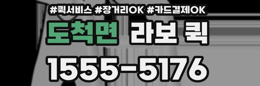 도척면 라보 퀵